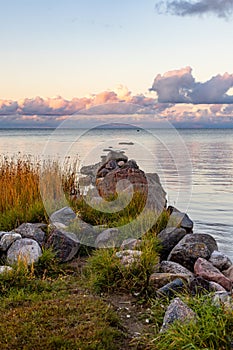 Glacial boulders tier among grass and brown reeds in sea