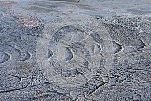 Glacial Chatter Marks on Barren Rock