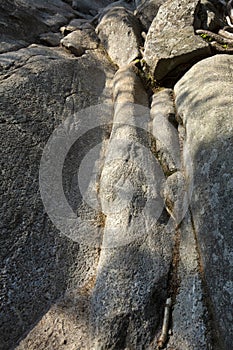 Glacial features in bedrock of Mt. Monadnock in New Hampshire photo