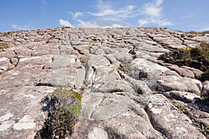 Glacial grooves in rock