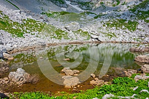 Glacial lake at Durmitor National park dominated by Bobotuv Kuk