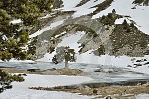 Glacial lake of the Madriu-Perafita-Claror valley