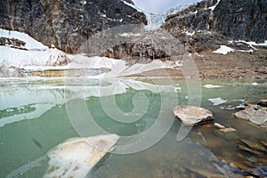 Glacial remnants and icebergs in an alpine lake at the Path of the Glacier Trail in Mount Edith Cavell in Jasper National Park in
