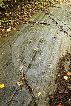 Glacial striations in bedrock along a Maine hiking trail. photo