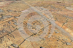 Glacial Striations on exposed Pre-Cambrian Gneiss