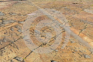 Glacial Striations on exposed Pre-Cambrian Gneiss photo