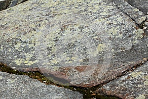 Glacial striations in gneiss at summit of Mt. Kearsarge