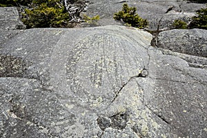 Glacial striations in gneiss at summit of Mt. Kearsarge photo