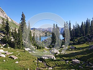 Glacial valley carved in the mountains.