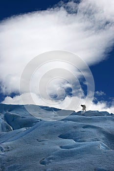 Glaciar perito moreno photo