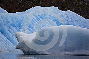 Glaciar Spegazzini in Patagonia, Argentina