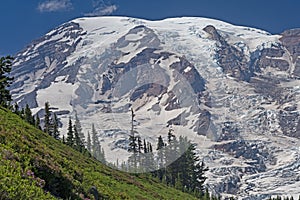 Glaciated Mountain Looming Above the Ridge photo