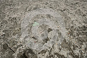 Glacier airview background