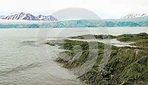 Glacier in The Arctic.