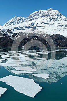 Glacier Bay