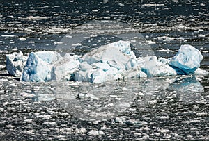 Glacier blue Ice icebergs in the Russel Fjors originated from the Hubbard Glacier, Alaska