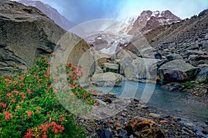 Glacier in El Chalten, Fitz Roy, Patagonia Argentina, Los Glaciares