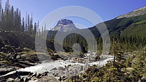 Glacier-fed waters from Takakkaw Falls flow into Yoho River with Wapta Mountain in the background. Yoho National Park, Canadian Ro