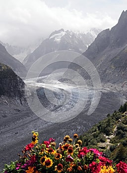 Glacier and flowers
