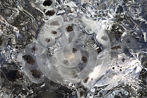 Glacier ice chunks on the black beach at Jokulsarlon, Iceland