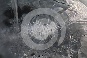 Glacier ice chunks on the black beach at Jokulsarlon, Iceland