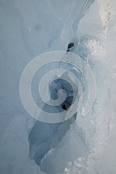 Glacier ice chunks on the black beach at Jokulsarlon, Iceland