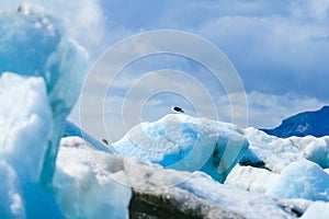 Glacier Lagoon in east Iceland