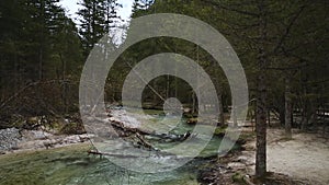 Glacier meltwater river flowing in the forest in Dolomites mountains, Cortina dAmpezzo, Italy on moody spring day