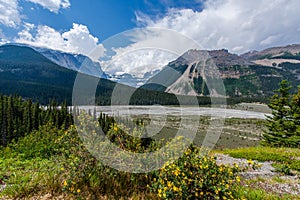 Glacier National Park Landscape - Canada
