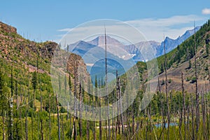 Glacier National Park Lodgepole Fire View