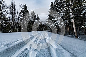 Glacier National Park Snowing in Winter