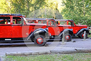 Glacier park buses