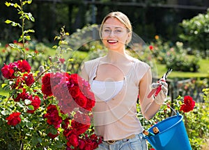 glad young woman working with bush roses with horticultural tools in garden