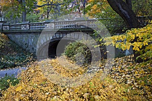 The glade arch