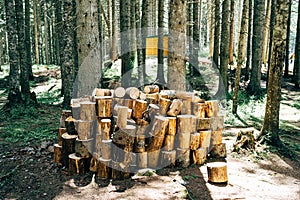 A glade in the forest with folded firewood for a firebox against the background of trees.
