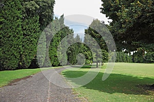 A glade in a park-garden Sigurta photo