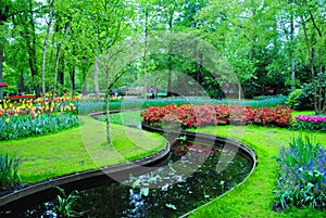 The Glade with red tulips in the Netherlands flowers park