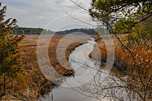 Glades and Coastal Marshes Line Cape Henlopen State Park`s Junction photo