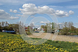 Glades with dandelions and low-rise buildings