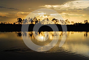 Glades Sunset