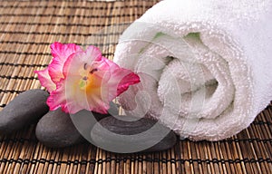 Gladiola,black pebbles and white towel