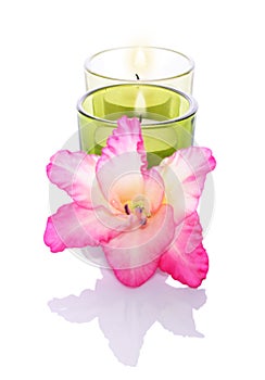 Gladiola and candles