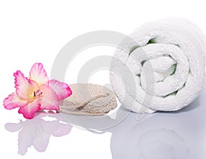 Gladiola, Towel and Pumice Rock