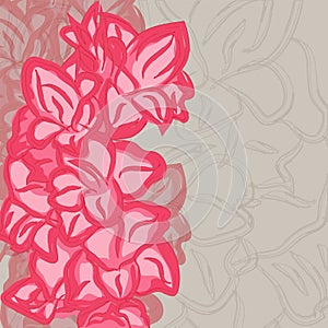 Gladiolus blossom floral background