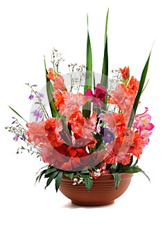 Gladiolus floral composition