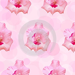 Gladiolus flower vector seamless pattern.