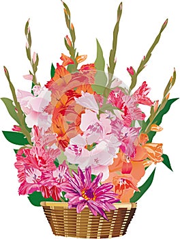 Gladiolus flowers in basket