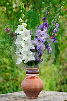 Gladiolus in vase