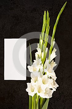 Gladioly flowers with blank paper for obituary notice.