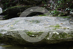 `Glam Rock` large flat river boulder background stock